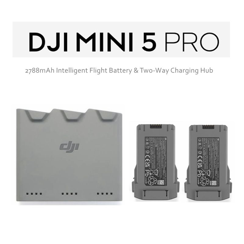 Drone Battery Balance Charger - Original 2788mAh DJI Drone Battery Two-Way